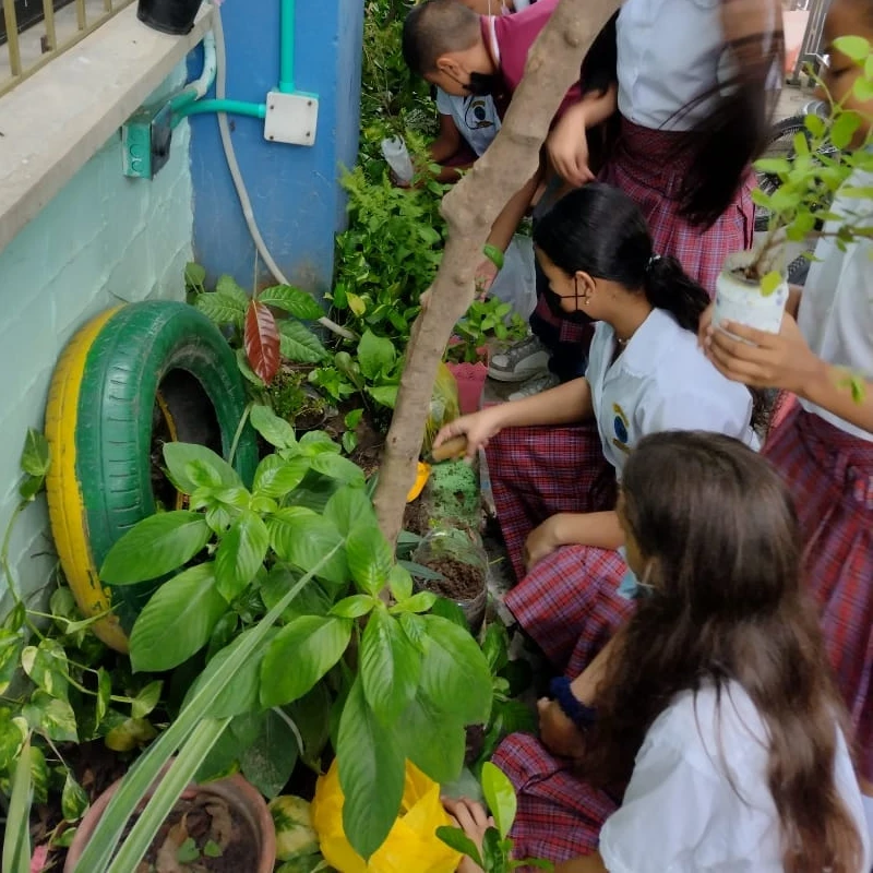 plantase